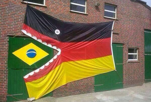 Brasile-Germania 1-7 (a)
