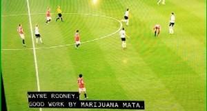 mata marijuana