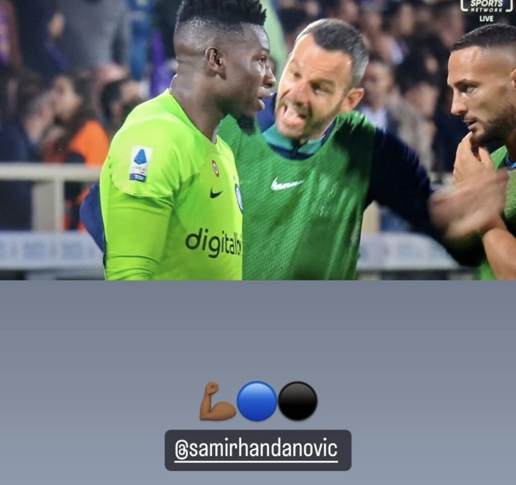 Handanovic Onana D'Ambrosio Fiorentina Inter