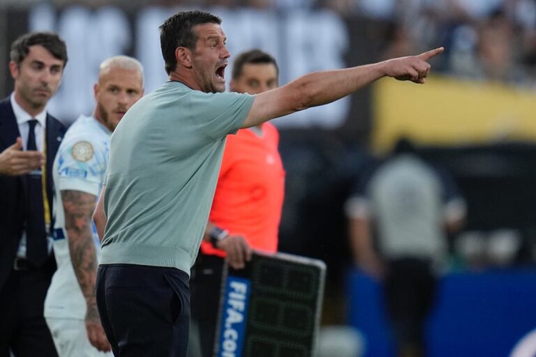 Le parole di Chivu