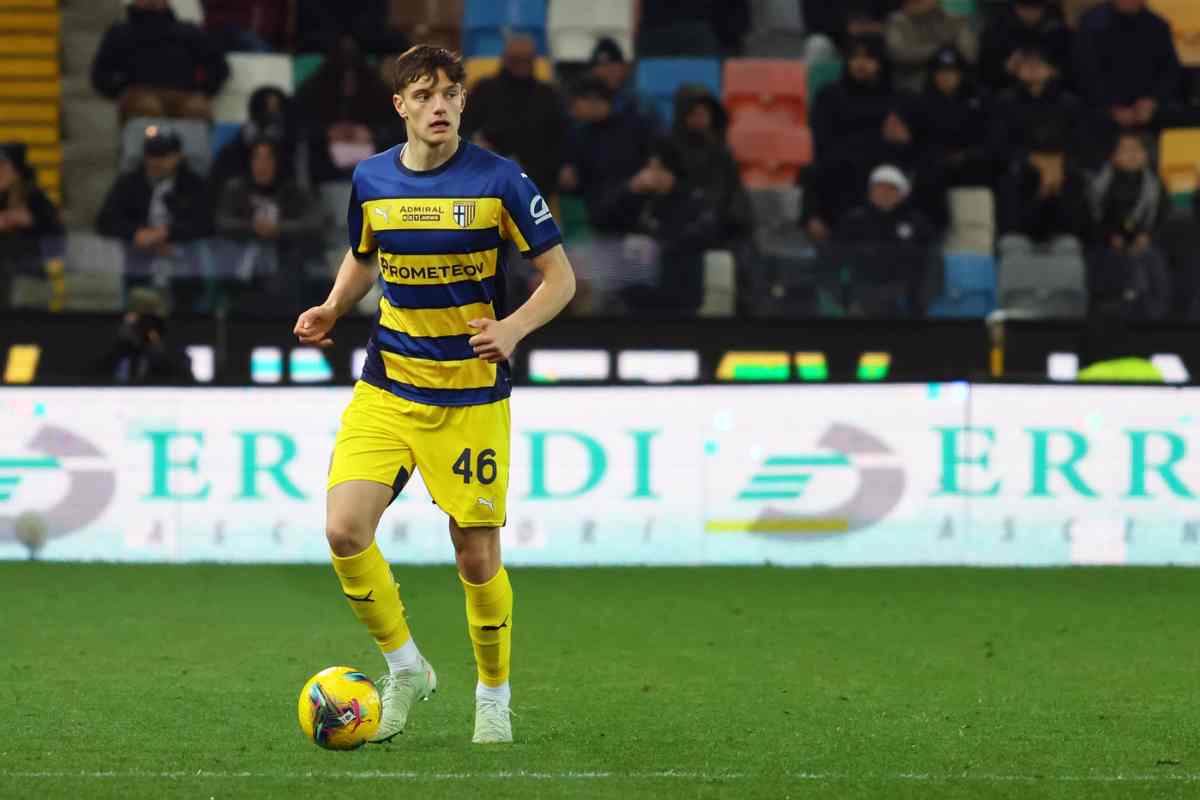 Leoni in campo