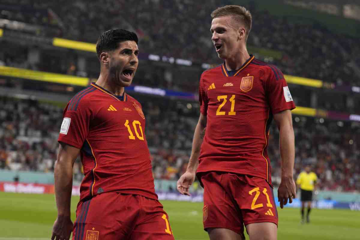 Asensio esulta con la Spagna