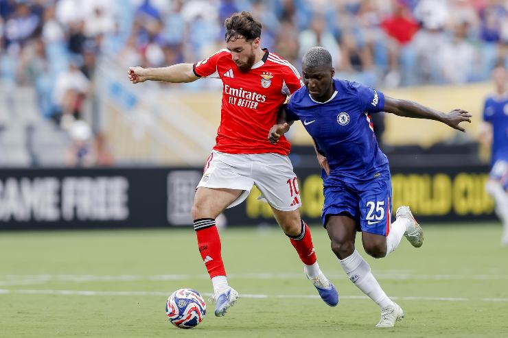 Kokcu Benfica