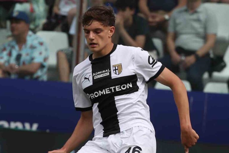 Leoni in campo