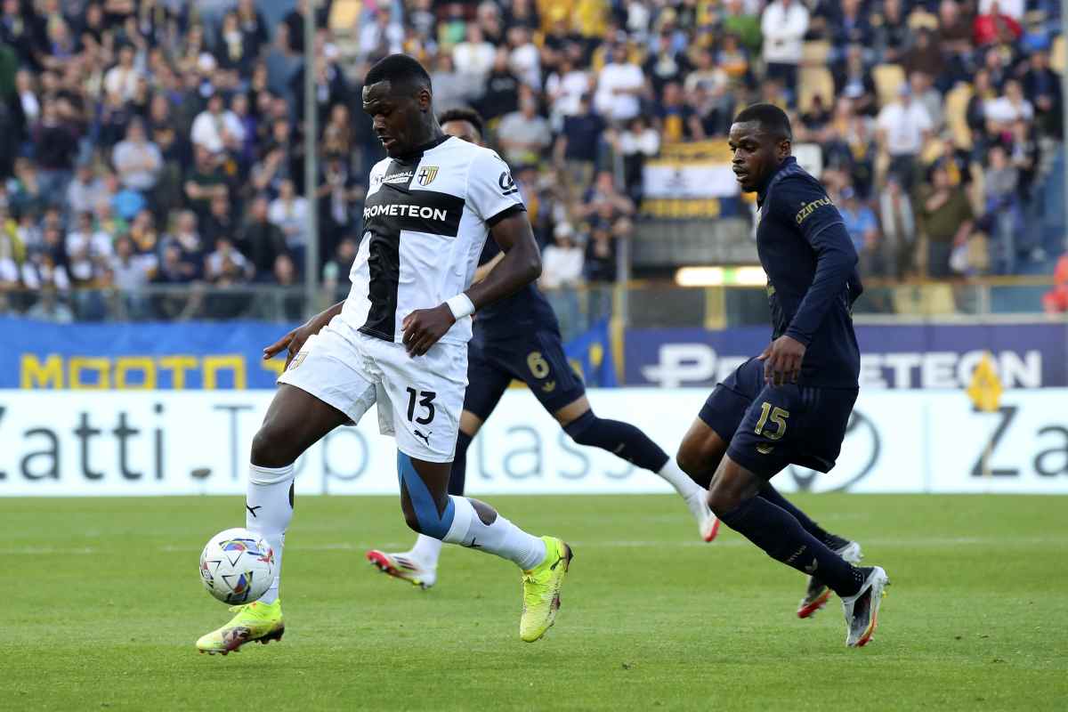 Bonny Parma